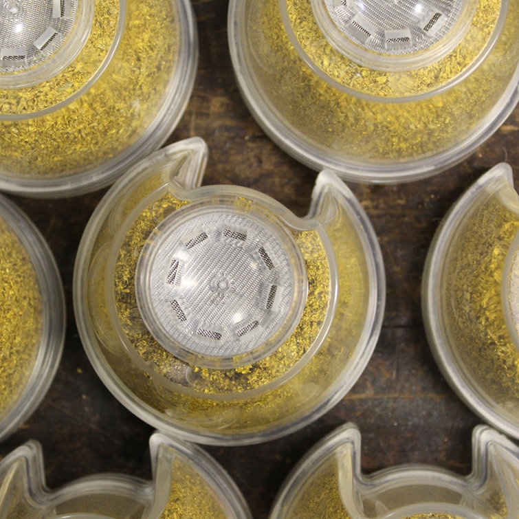 Speakman Hotel Pure Replacement Shower Filter & Reviews Wayfair